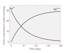 Kinetic redox diagram