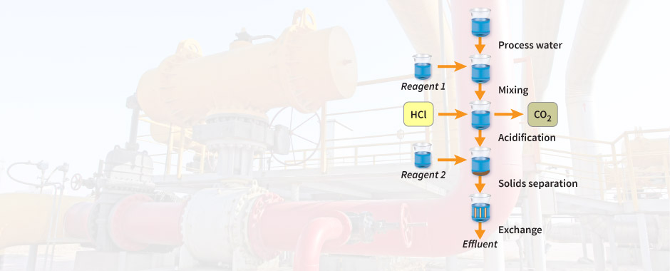 Processes and networks