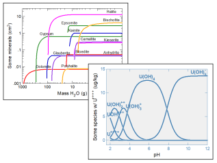 The Geochemist's Workbench Standard