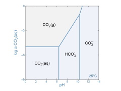 Gas solubility diagram