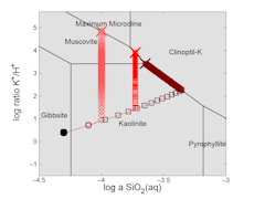 Reaction trace