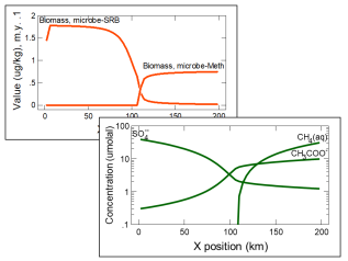 Bioreactive transport