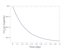 Gas transfer kinetics