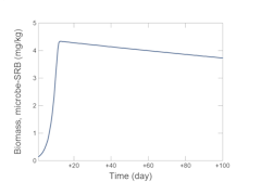 Microbial growth and decay