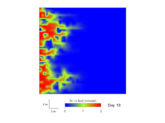 Transient field variables