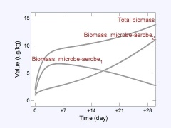 Microbial growth plot
